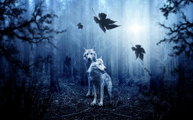 moonlight