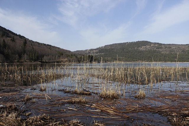 Hình ảnh minh họa ý nghĩa của từ morass
