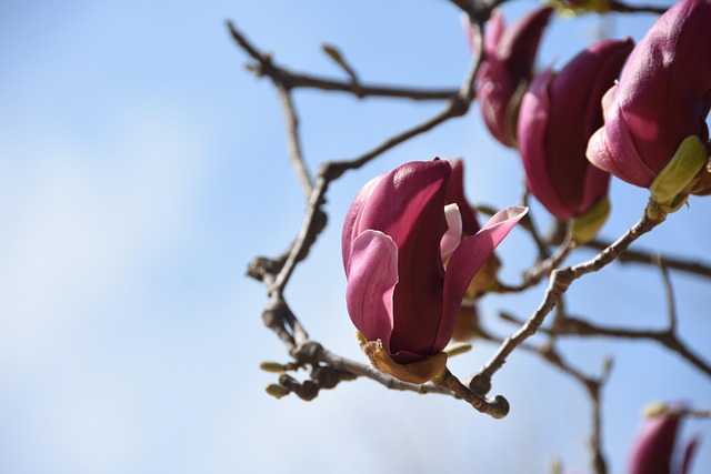 more frequent