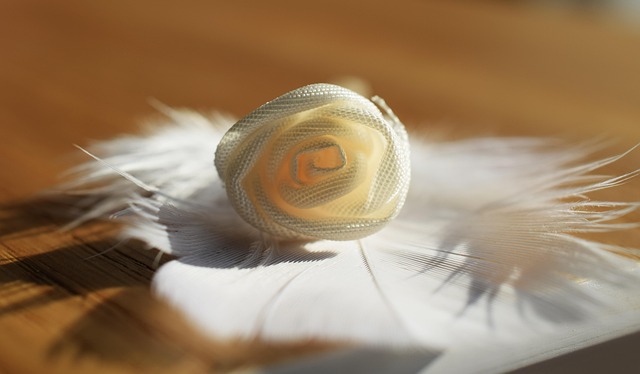 Hình ảnh minh họa ý nghĩa của từ more gently