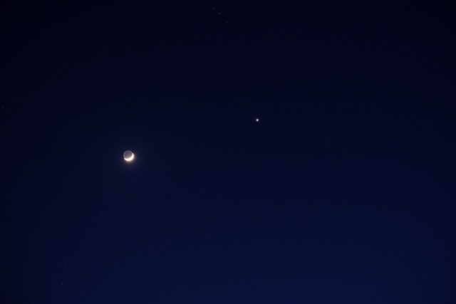 morning star