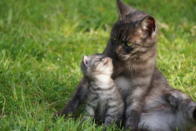 motherly love