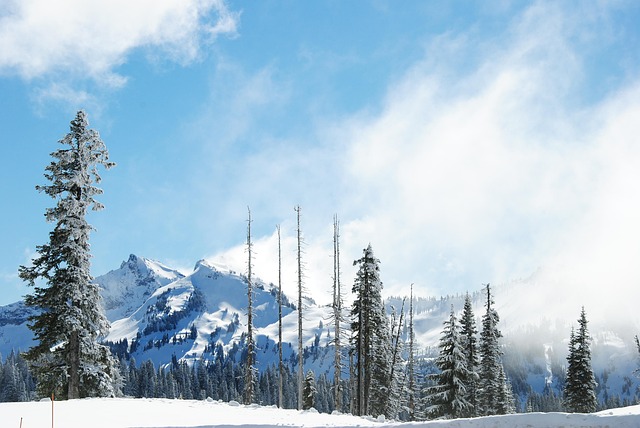 mount rainier