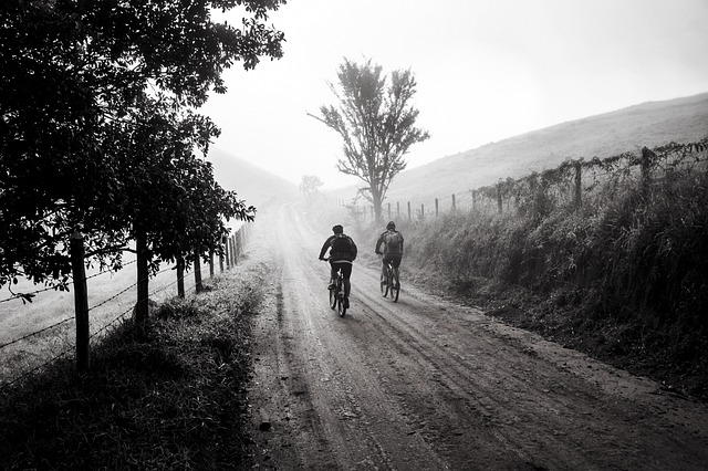 mountain bike trail