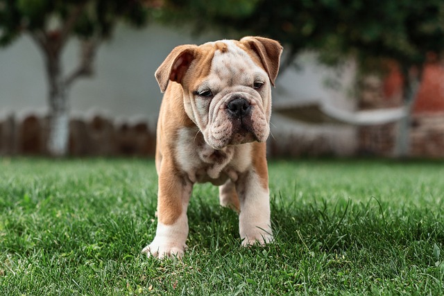 Hình ảnh minh họa ý nghĩa của từ multiply