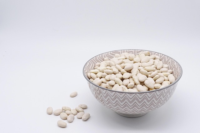 muscle protein