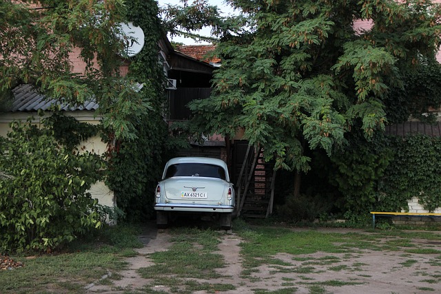 Hình ảnh minh họa ý nghĩa của từ muscovite