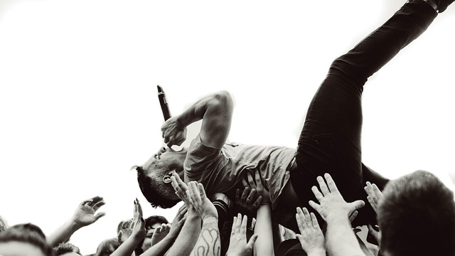 music fan