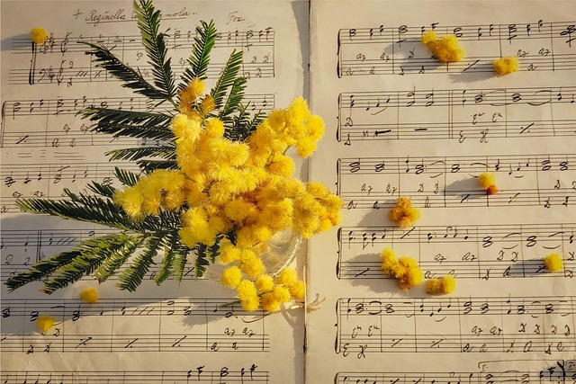 musical arrangement