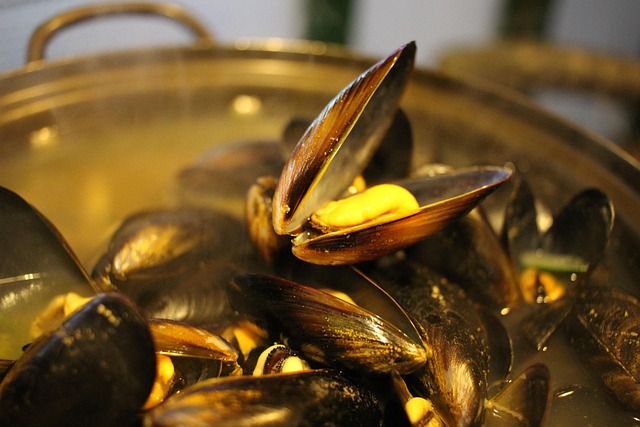 mussel