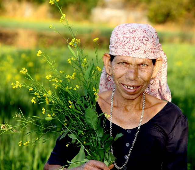 Hình ảnh minh họa ý nghĩa của từ muster