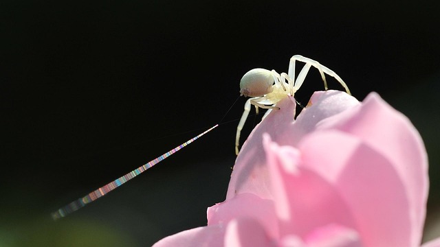 Hình ảnh minh họa ý nghĩa của từ mutable