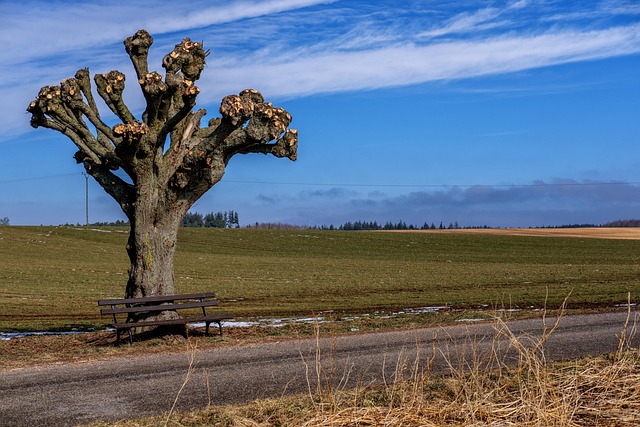 Hình ảnh minh họa ý nghĩa của từ mutilate