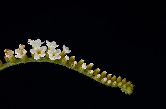 Hình ảnh minh họa ý nghĩa của từ myelin sheath