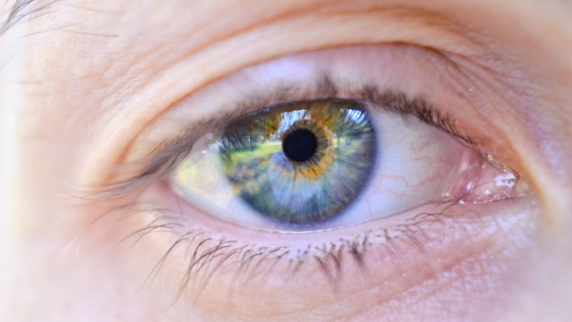 Hình ảnh minh họa ý nghĩa của từ myopic