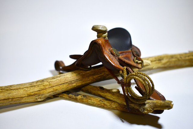 Hình ảnh minh họa ý nghĩa của từ nag