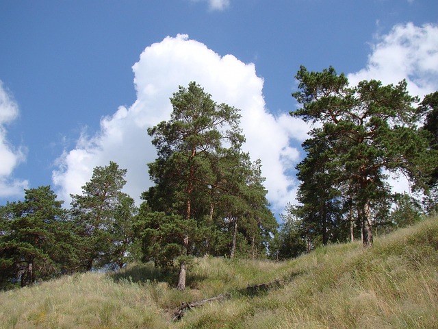 Hình ảnh minh họa ý nghĩa của từ named