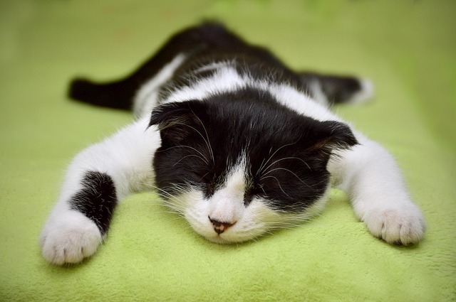 napping