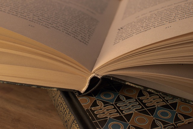 Hình ảnh minh họa ý nghĩa của từ narrative structure