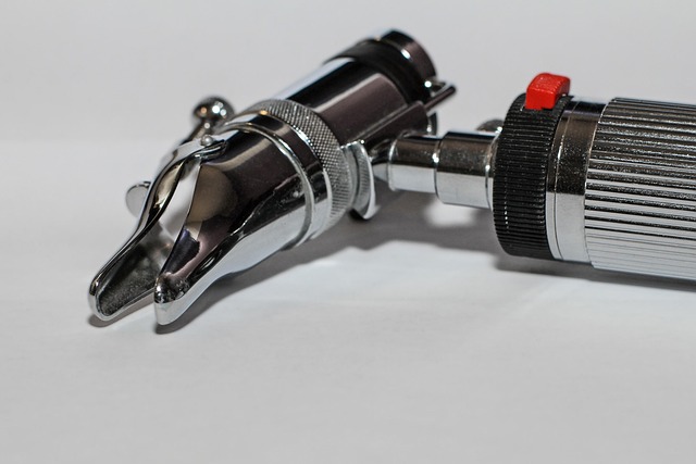 Hình ảnh minh họa ý nghĩa của từ nasal septum