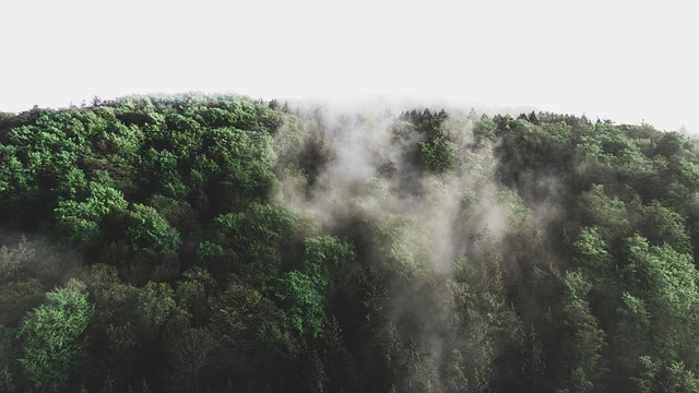 natural environment