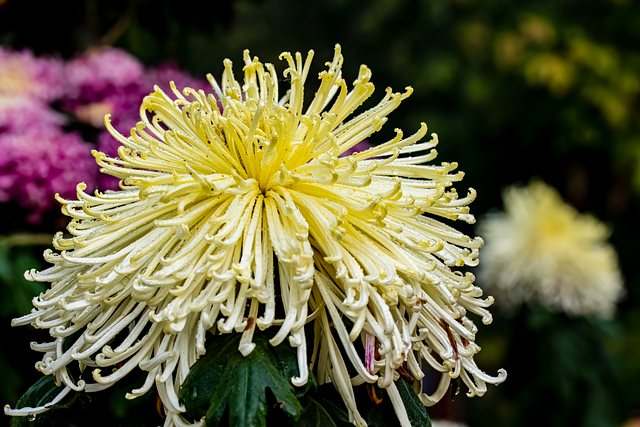 natural photography