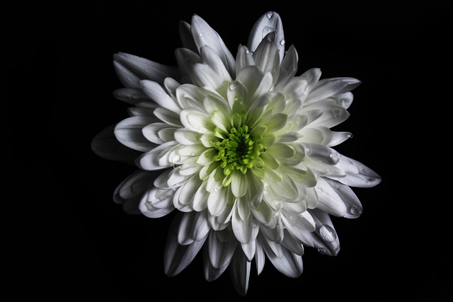 naturalistic art