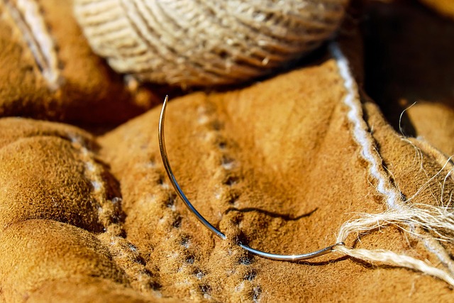 Hình ảnh minh họa ý nghĩa của từ needle