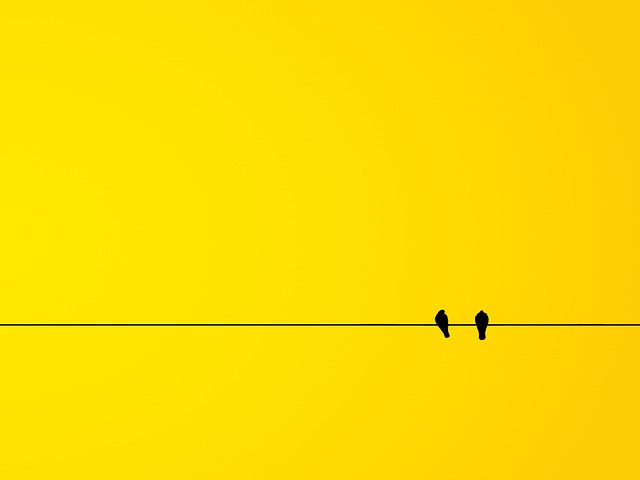 negative example