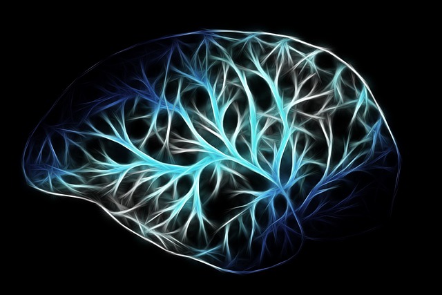 nerve cell