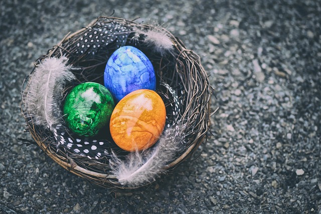 Nest egg