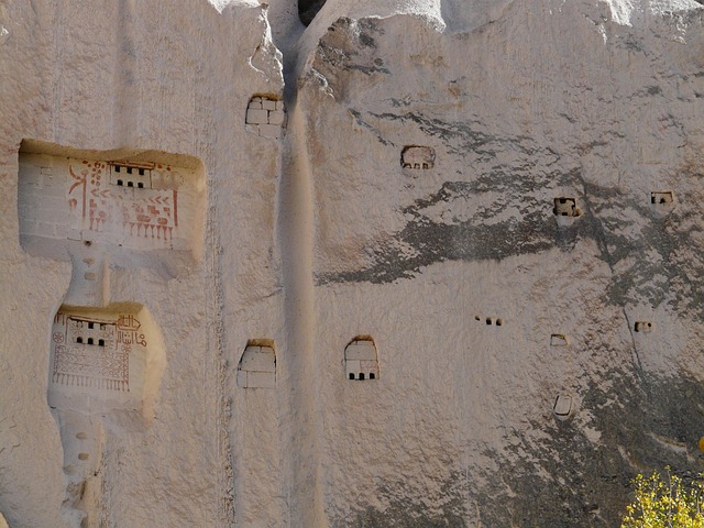 nesting site