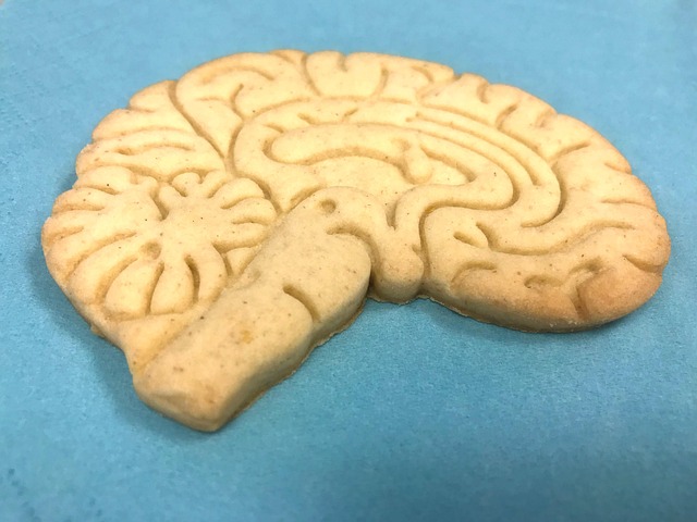 Hình ảnh minh họa ý nghĩa của từ neuropsychology