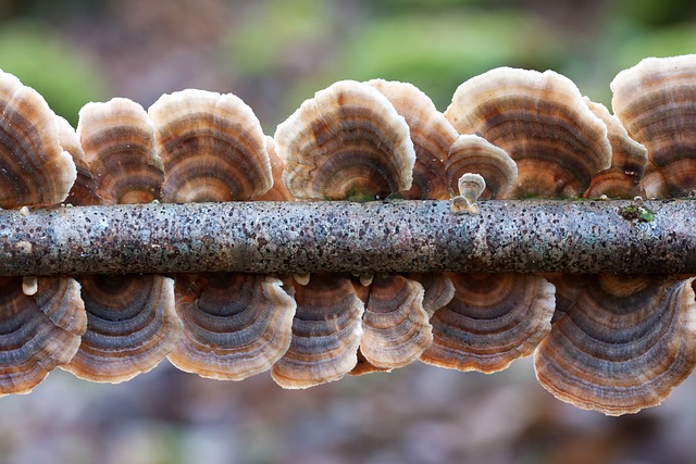 Hình ảnh minh họa ý nghĩa của từ never