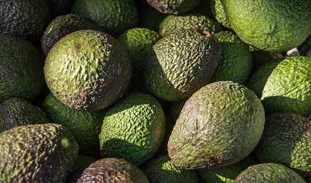 newly picked fruit