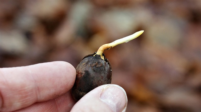 Hình ảnh minh họa ý nghĩa của từ news cycle