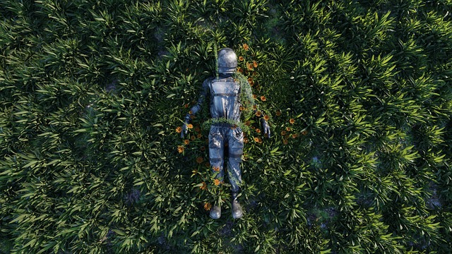 nft