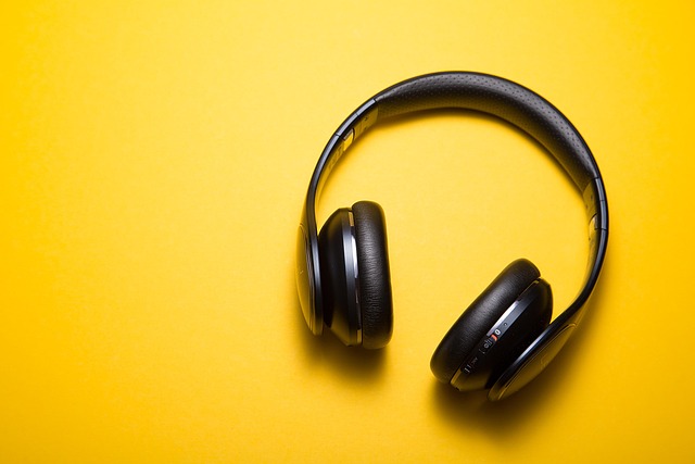 noise cancelling device