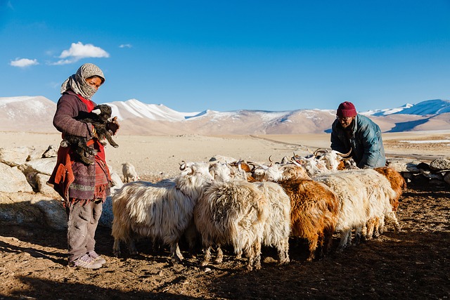 nomadic spirit