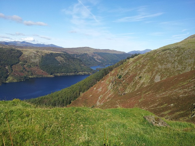 Hình ảnh minh họa ý nghĩa của từ non-native