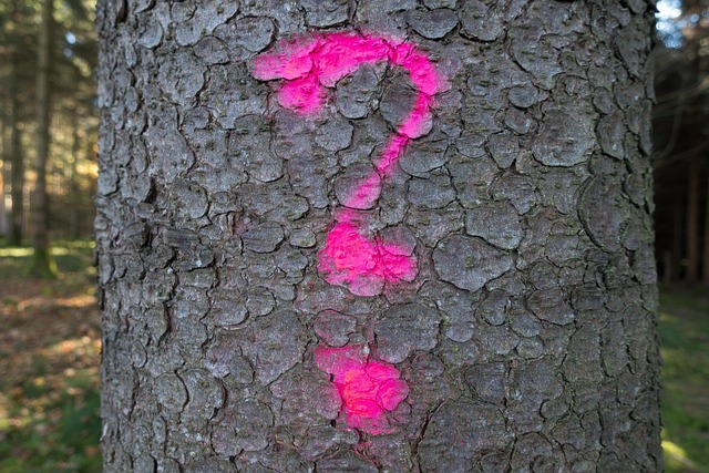 Hình ảnh minh họa ý nghĩa của từ non-verbal communication