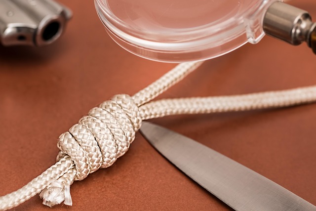 Hình ảnh minh họa ý nghĩa của từ noose