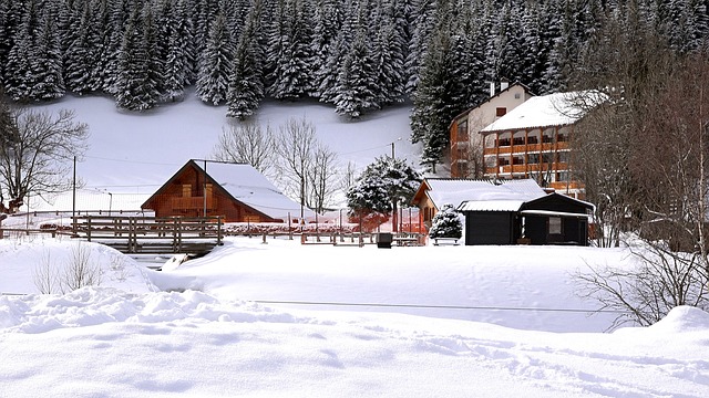 Hình ảnh minh họa ý nghĩa của từ nordic skiing