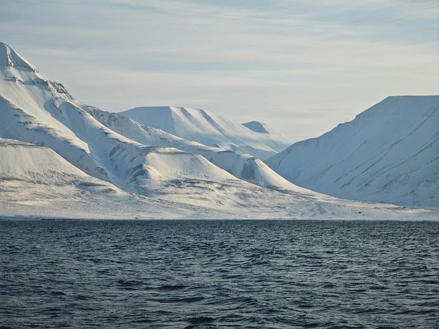 north polar