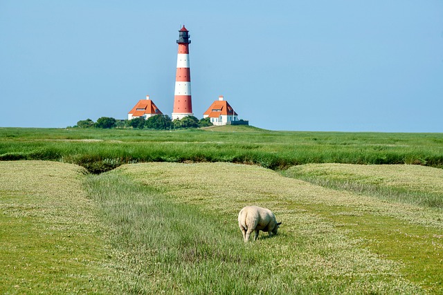 north sea