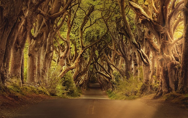northern ireland