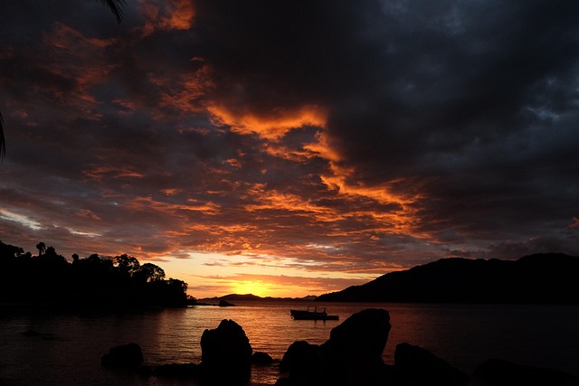 Hình ảnh minh họa ý nghĩa của từ nosy