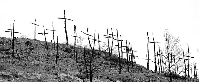 noughts and crosses