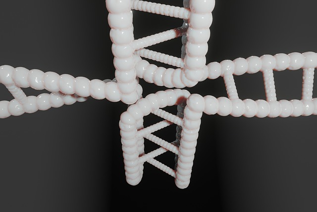 Hình ảnh minh họa ý nghĩa của từ nucleic acid