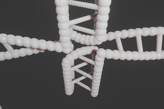 Hình ảnh minh họa ý nghĩa của từ nucleotide